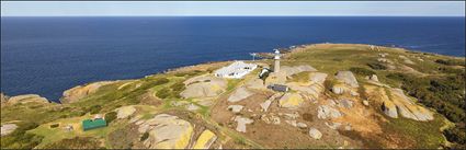 Montague Island - NSW (PBH4 00 9639)